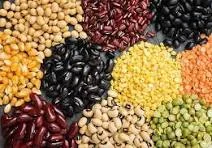 سویا